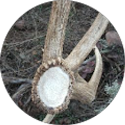 Profile photo of Ryan Hart