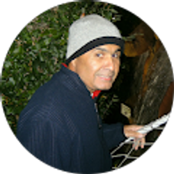 Profile photo of ismael arvelo