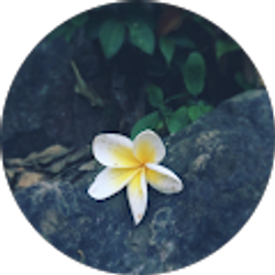 Profile photo of Khamph Southisombath