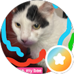 Profile photo of M Hernandez