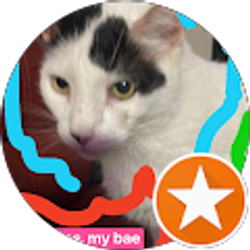 Profile photo of Michelle H