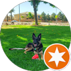 Profile photo of Colton