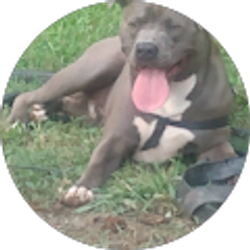 Profile photo of kevin merrit