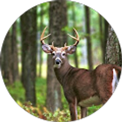 Profile photo of Jacob Coffey