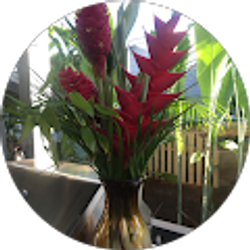 Profile photo of Pam Kim