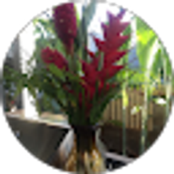 Profile photo of Pam Kim