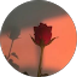 Profile photo of raquel ramirez