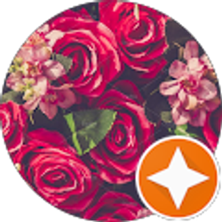 Profile photo of Kelsie Price