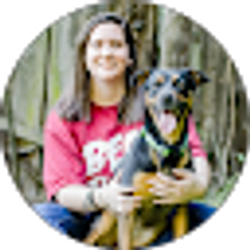 Profile photo of Camryn Clements