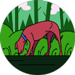 Profile photo of Craig Martin