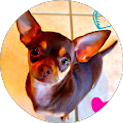 Profile photo of Mira Reyes