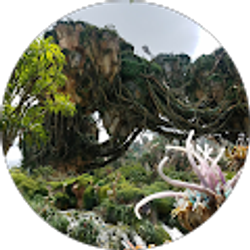 Profile photo of Cristian