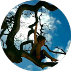 Profile photo of Juliana Hepp