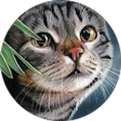 Profile photo of Mary Lopez