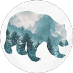 Profile photo of Kodiak