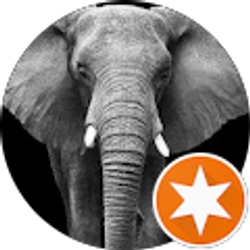 Profile photo of Mama J