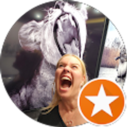 Profile photo of steven bartlett