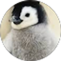 Profile photo of penguin Minecraft's