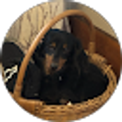 Profile photo of Rosemarie Troidl