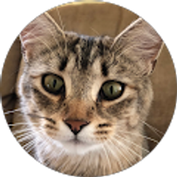 Profile photo of Evan Hdez