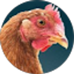 Profile photo of Todd Weaver