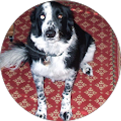 Profile photo of chuck smith