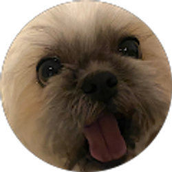 Profile photo of Elian