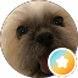 Profile photo of Elian