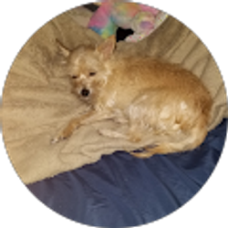 Profile photo of Tommy Prather