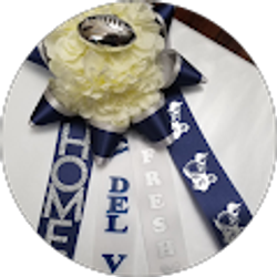 Profile photo of Josie Cintron