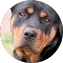 Profile photo of Ted S