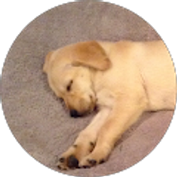 Profile photo of Karen StClair