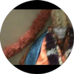 Profile photo of Mukesh Sharma