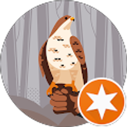 Profile photo of FREEDOMWALKER