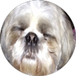 Profile photo of Lindsay Diamola