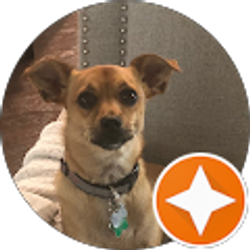 Profile photo of Kelli Barrett