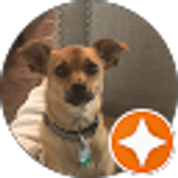 Profile photo of Kelli Barrett