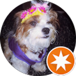 Profile photo of gina marie