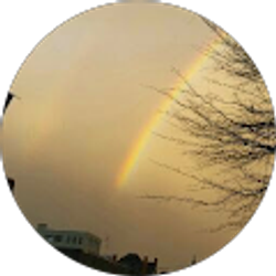 Profile photo of D M