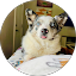 Profile photo of Jessica B