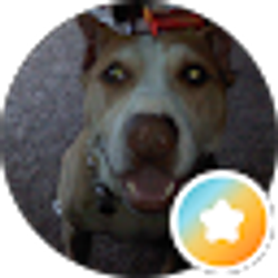 Profile photo of D F