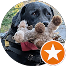 Profile photo of Taly Ron