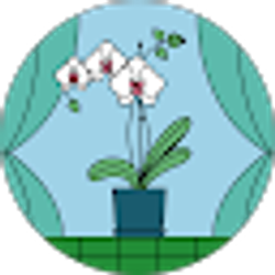 Profile photo of Top Nest