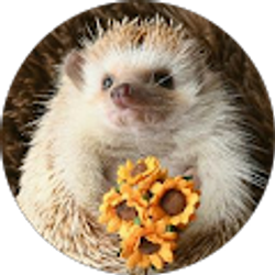 Profile photo of Frankie Franklin