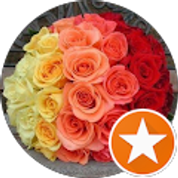 Profile photo of Janelle J