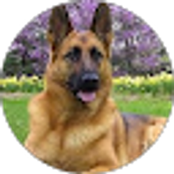 Profile photo of Chris Wooster
