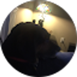 Profile photo of bill crawshaw
