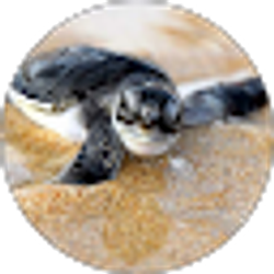 Profile photo of Brianna Rubio