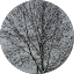Profile photo of Karen Sullivan