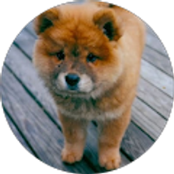 Profile photo of Grace Medina